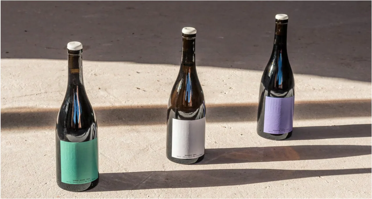 Penedès winery branding and wine labels: three ERAVi bottles with green, white and lilac labels on sunlit stone