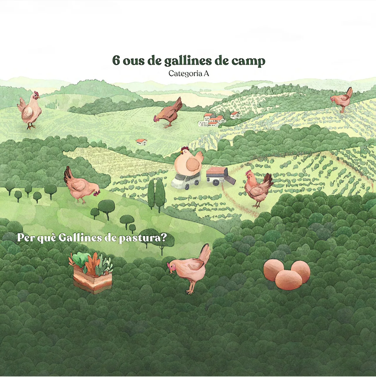 Minimalist illustration of the Penedès landscape with hens grazing freely